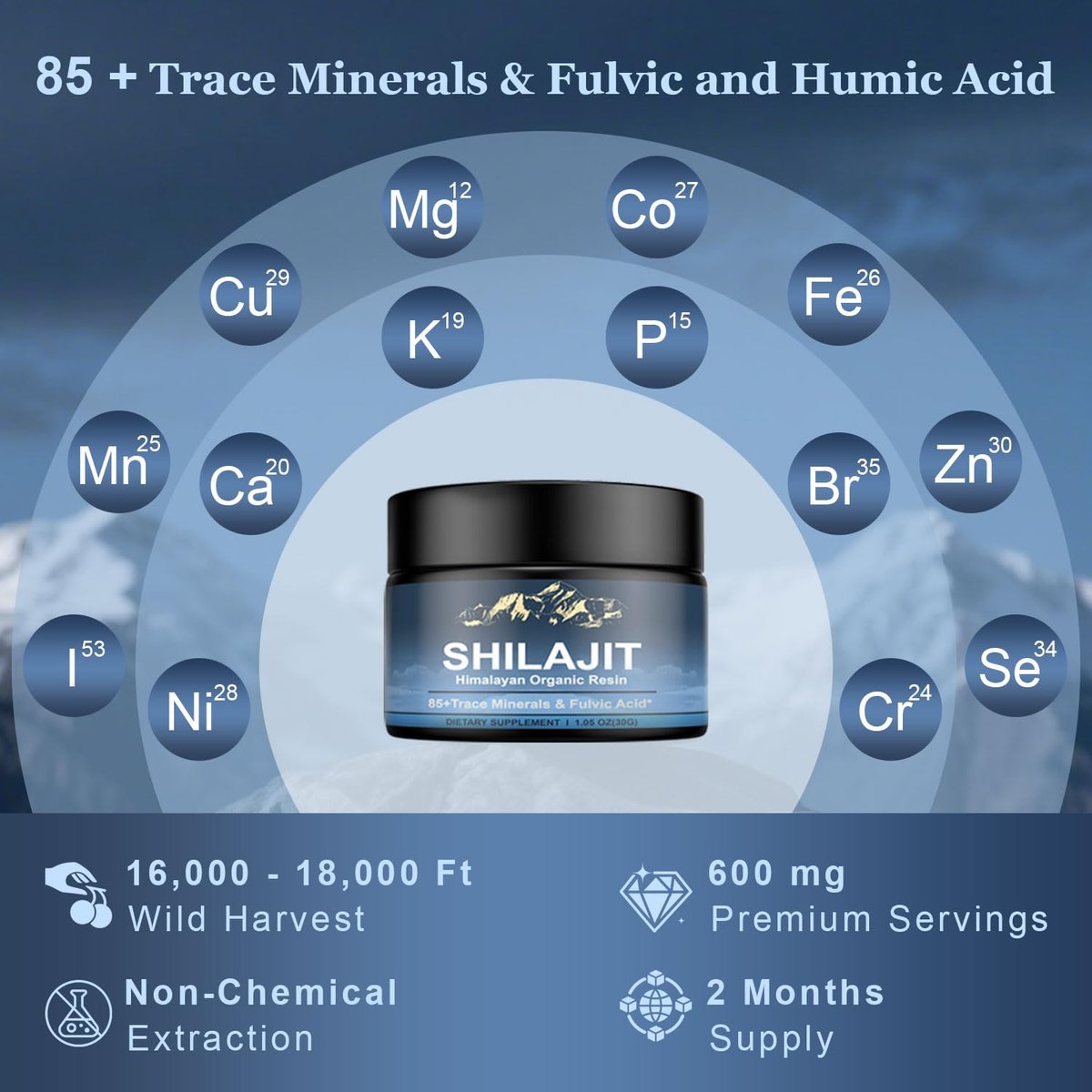 Himalayan Shilajit Bio-Resin – 600 mg reines Naturharz mit 85+ Spurenelementen & Fulvinsäure, Energie & Immunsystem, 30 g