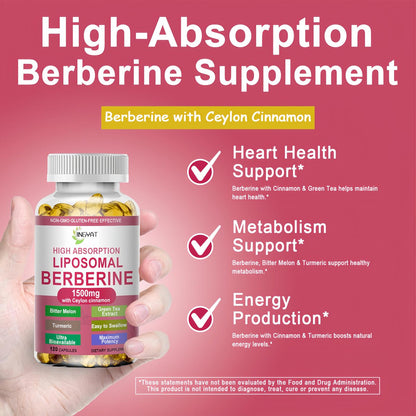 Berberin mit Ceylon-Zimt – Berberin Supplement 1500mg mit Bittermelone Kurkuma für Stoffwechsel, Immunsystem & Verdauung – Hochabsorbierende extra starke Berberin Softgels – Vegan, Nicht-GVO