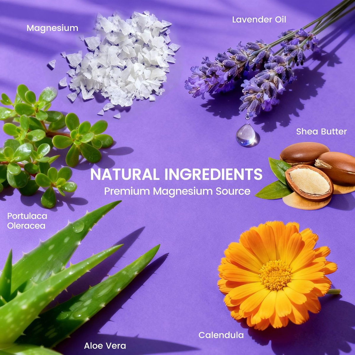 QUELTIS Magnesium Creme – Magnesium Lotion für Schlaf, Schmerzen & Wadenkrämpfe, topisches Magnesiumchlorid für Muskelentspannung, Beruhigung & Feuchtigkeit – hautfreundlich & sicher für Kinder & Erwachsene (Lavendel)