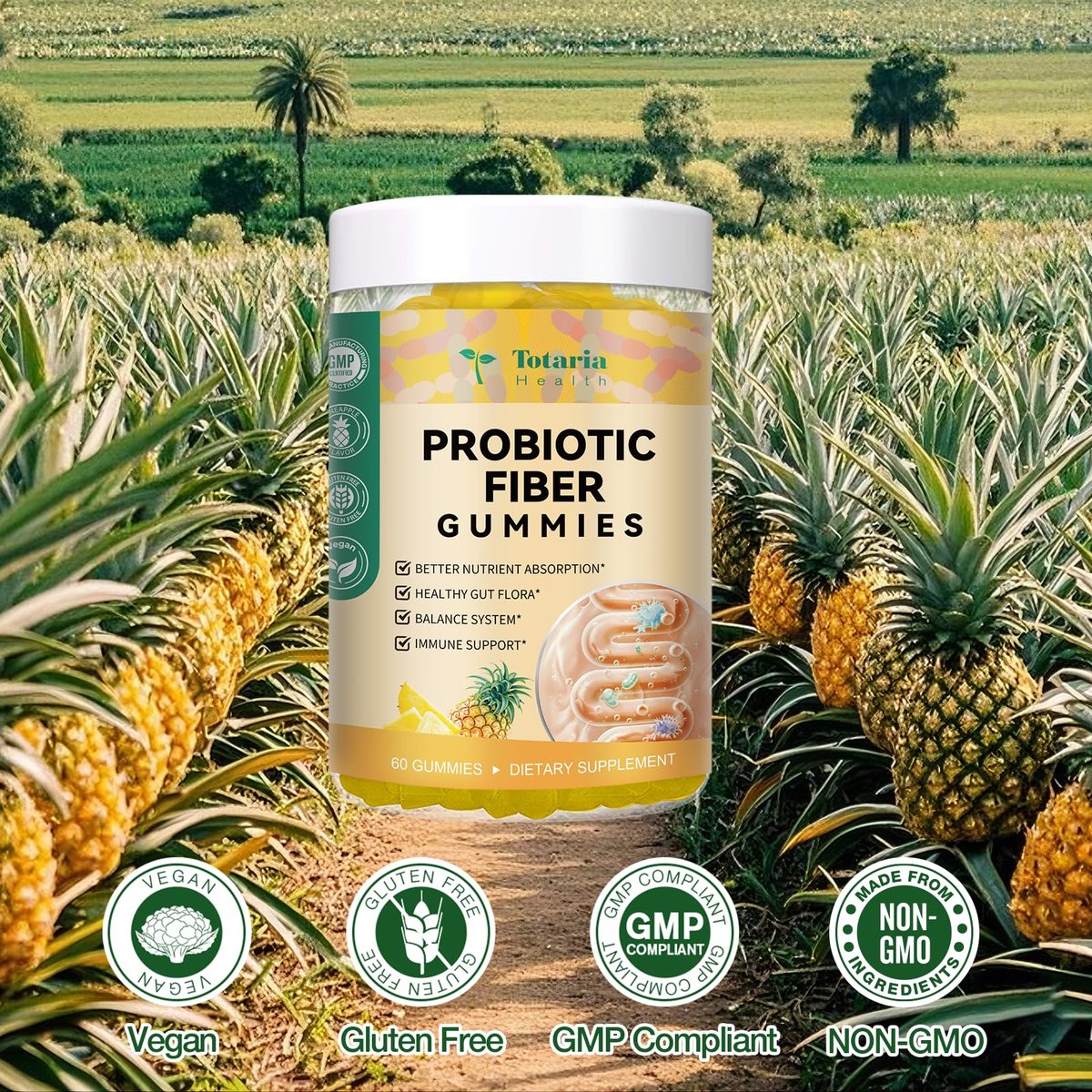 9-in-1 Probiotische Präbiotika Ballaststoff Gummis für Erwachsene & Jugendliche – Ballaststoffergänzung mit 5 Milliarden KBE Bacillus Coagulans, Flohsamenschalen, FOS, Inulin, ACV für Verdauung & Darm – 60 vegane Ananas-Gummis