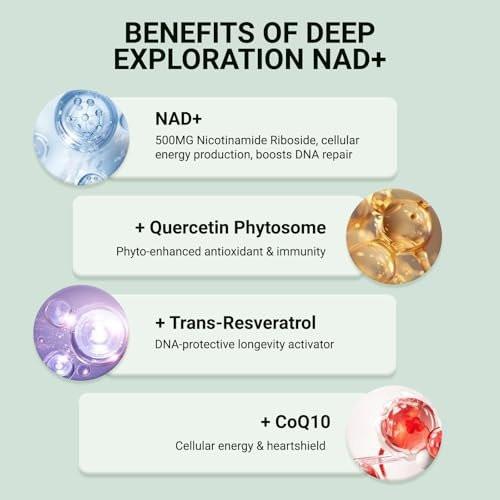 Ncduyde NAD+ Supplement, Liposomales NAD Nicotinamid-Ribosid Resveratrol 1500 mg - Anti-Aging & Gehirngesundheit, Energie steigern - Speziell für Frauen und Männer, 120 Kapseln