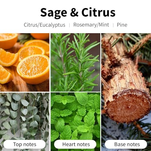 SVECKE Salbei & Zitrone Duftkerze, 200g Sojawachs-Kerze, langanhaltende Aromatherapie-Glas-Kerze für Zuhause, Geschenk für Damen und Herren