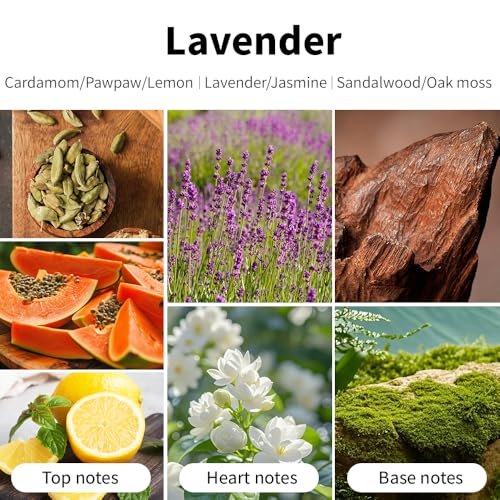 SVECKE Lavendel Duftkerze, 200g Sojawachs Kerze, Lang anhaltende Aromatherapie Kerze für Zuhause, Geschenk für Frauen und Männer