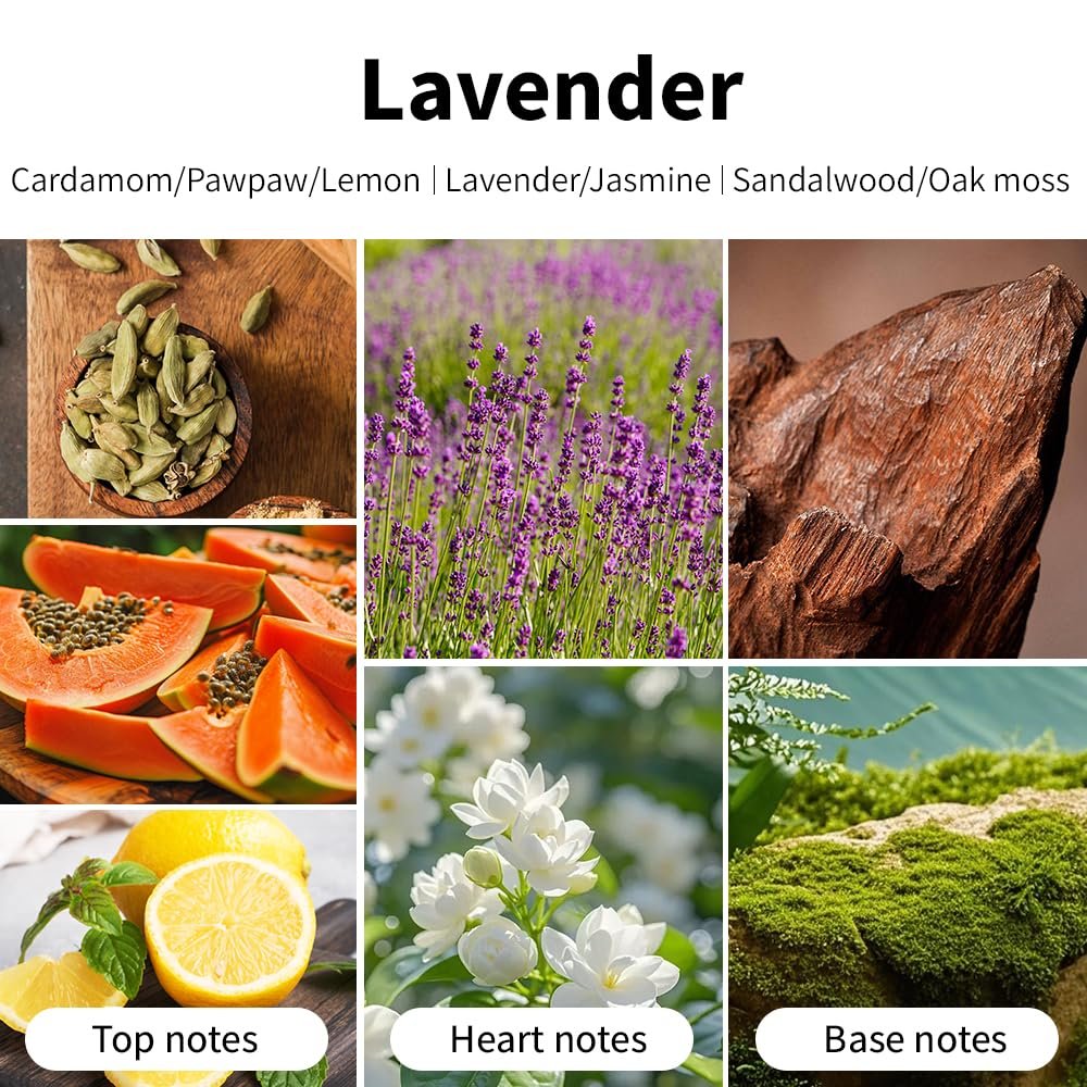 SVECKE Lavendel Duftkerze, 200g Sojawachs Kerze, Lang anhaltende Aromatherapie Kerze für Zuhause, Geschenk für Frauen und Männer