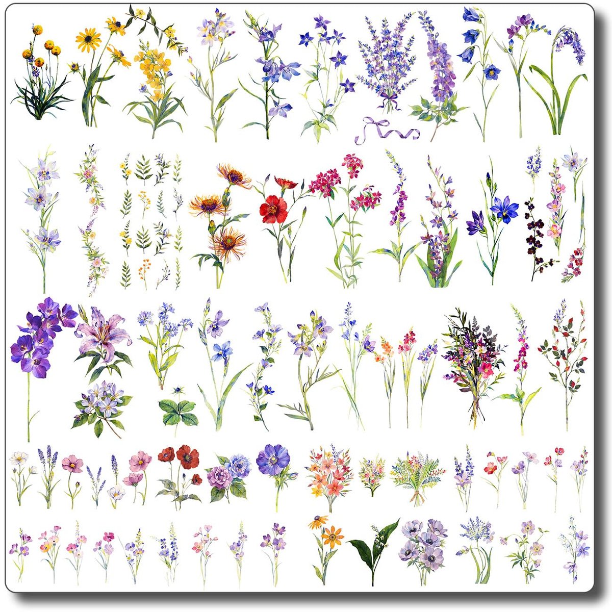 CHARLENT 40 Blatt Watercolor Blumen temporäre Tattoos für Frauen - Kleine Wildblumen Fake Tattoo Aufkleber für Körper, Nacken, Hand