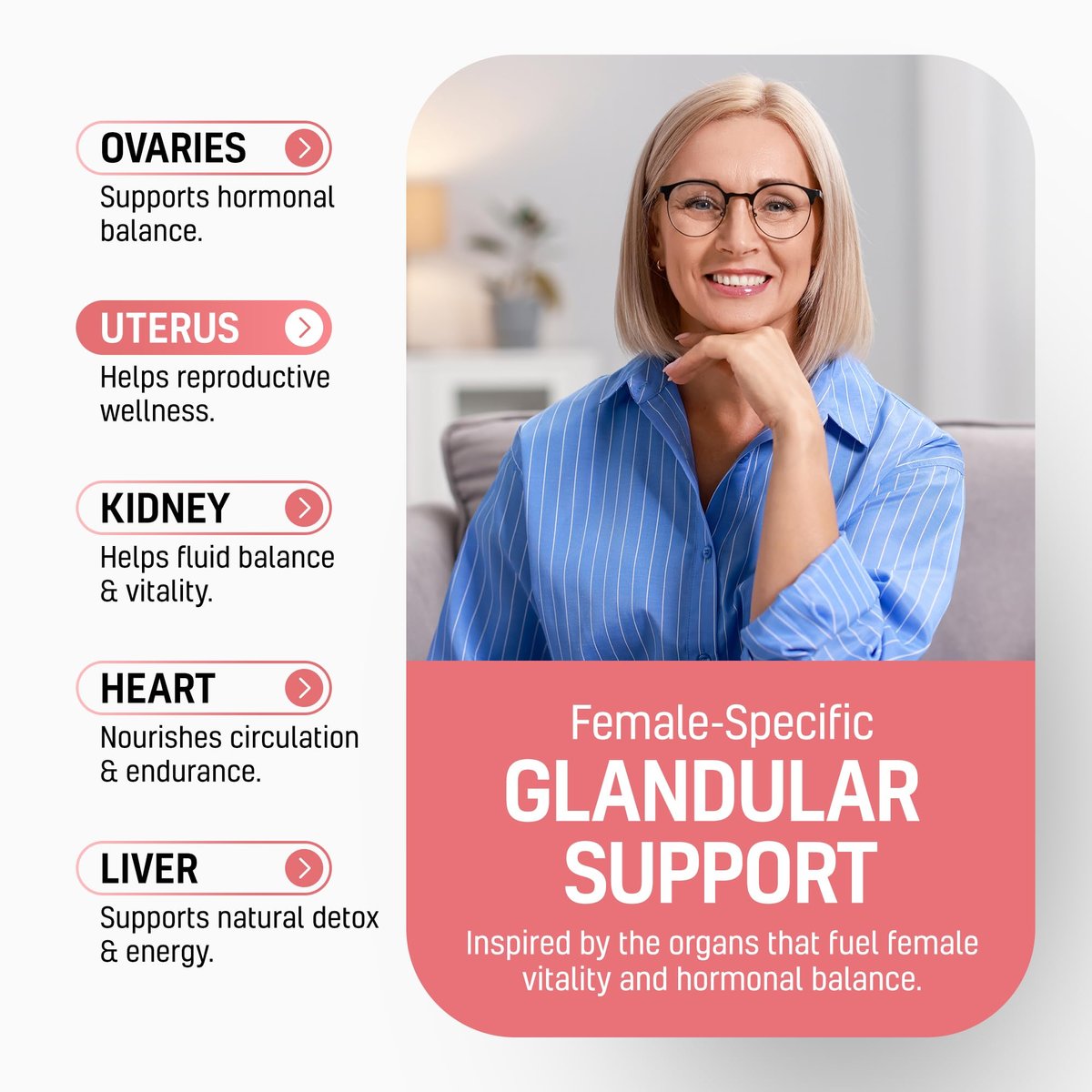Next Form Rinderorgan-Komplex für Frauen 6-in-1 Hormonbalance & Energie - 100% Weidehaltung & Grasfütterung - Rinderleber, Niere, Herz, Milz, Bauchspeicheldrüse und mehr - 180 Kapseln