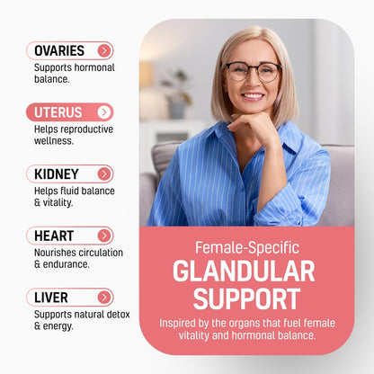 Next Form Rinderorgan-Komplex für Frauen 6-in-1 Hormonbalance & Energie - 100% Weidehaltung & Grasfütterung - Rinderleber, Niere, Herz, Milz, Bauchspeicheldrüse und mehr - 180 Kapseln