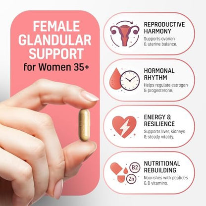 Next Form Rinderorgan-Komplex für Frauen 6-in-1 Hormonbalance & Energie - 100% Weidehaltung & Grasfütterung - Rinderleber, Niere, Herz, Milz, Bauchspeicheldrüse und mehr - 180 Kapseln