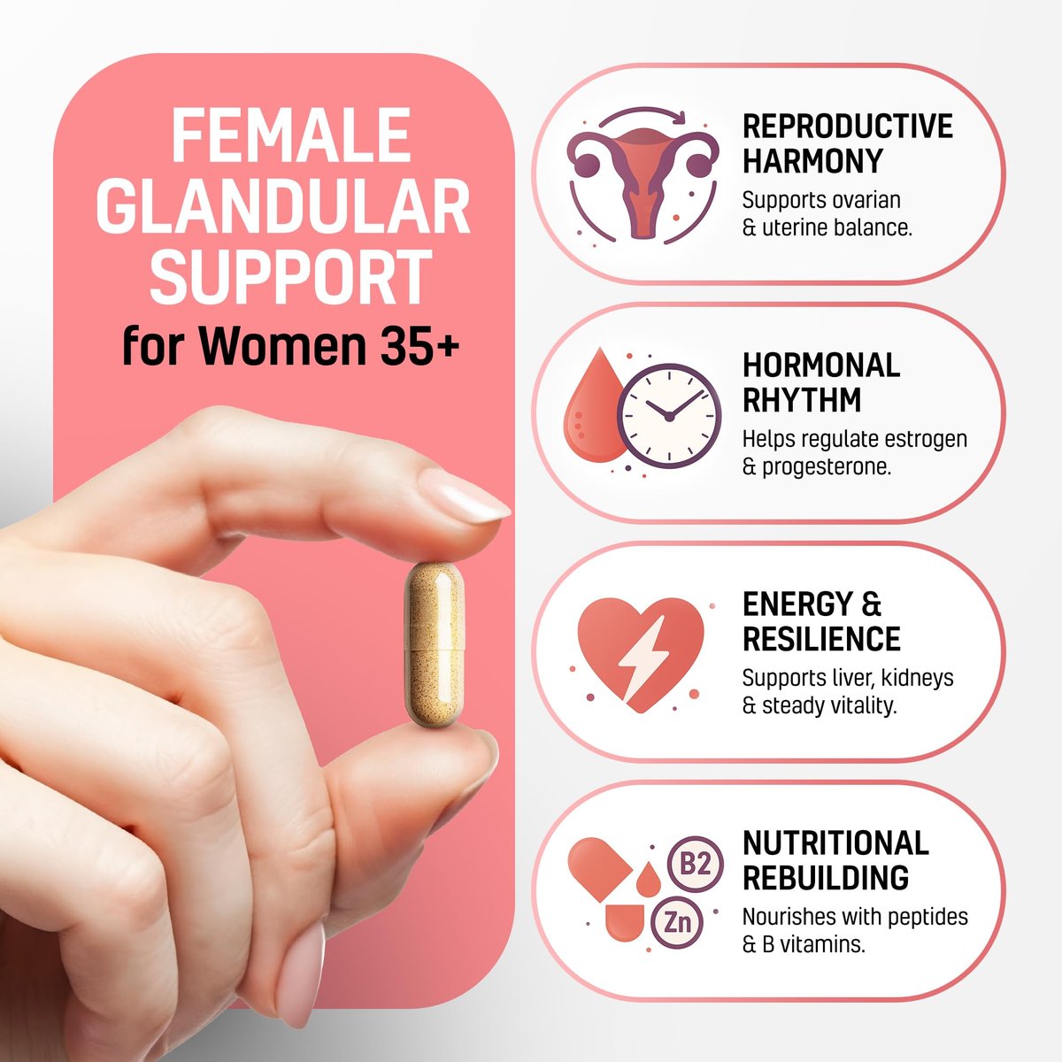 Next Form Rinderorgan-Komplex für Frauen 6-in-1 Hormonbalance & Energie - 100% Weidehaltung & Grasfütterung - Rinderleber, Niere, Herz, Milz, Bauchspeicheldrüse und mehr - 180 Kapseln