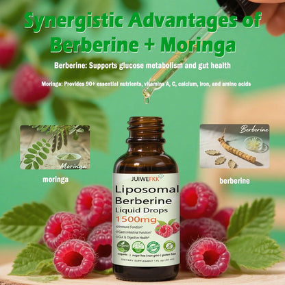 Liposomales Berberin Präparat 1500 mg, 2-in-1 Extra Stärke GLP-1 Moringa Berberin Tropfen für Stoffwechsel, Verdauung, Herzgesundheit & Vitamine für Frauen Männer Vegan Non-GMO, 30 Portionen