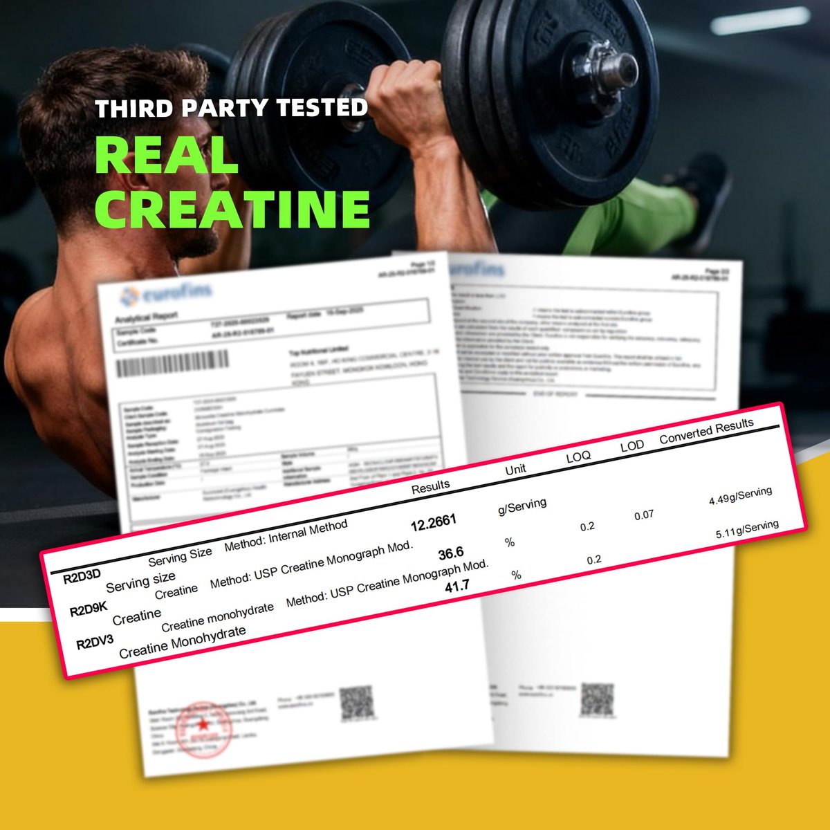 NSF-zertifizierte Creatine Gummibärchen – Creatin Monohydrat Gummies 5000 mg für Männer & Frauen – 120 Gummies, fortschrittliche Formel, Muskelkraft, Muskelaufbau, Energie-Boost, Pre-Workout-Ergänzung – Ananas