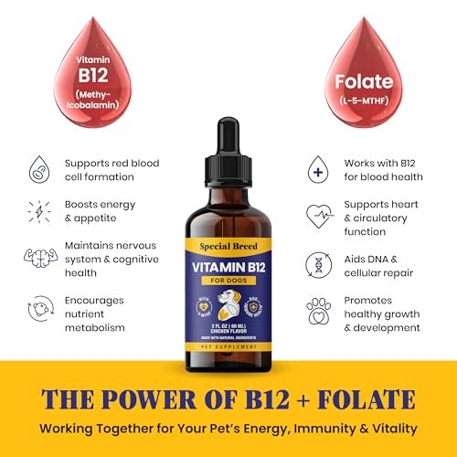 Special Breed Flüssiges Vitamin B12 für Hunde – Methylcobalamin und 5-MTHF – Steigert Energie, Appetit, Stimmung & Immunsystem – Einfach zu verwendender Tropfer – Hühnergeschmack, 60 ml