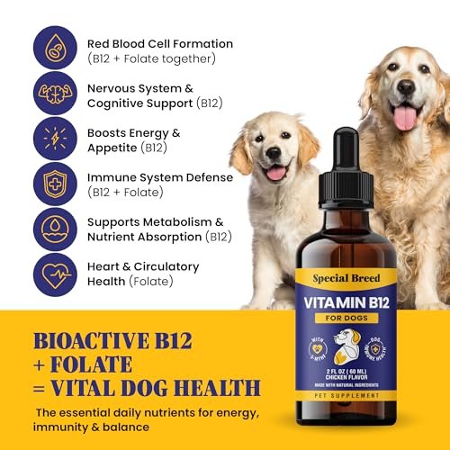 Special Breed Flüssiges Vitamin B12 für Hunde – Methylcobalamin und 5-MTHF – Steigert Energie, Appetit, Stimmung & Immunsystem – Einfach zu verwendender Tropfer – Hühnergeschmack, 60 ml