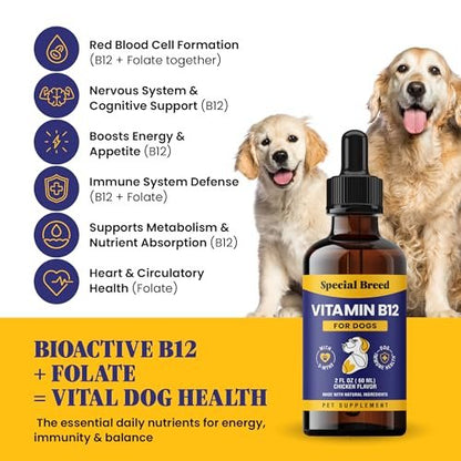 Special Breed Flüssiges Vitamin B12 für Hunde – Methylcobalamin und 5-MTHF – Steigert Energie, Appetit, Stimmung & Immunsystem – Einfach zu verwendender Tropfer – Hühnergeschmack, 60 ml