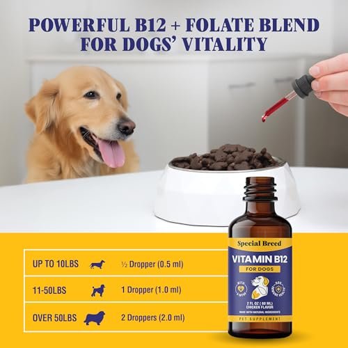Special Breed Flüssiges Vitamin B12 für Hunde – Methylcobalamin und 5-MTHF – Steigert Energie, Appetit, Stimmung & Immunsystem – Einfach zu verwendender Tropfer – Hühnergeschmack, 60 ml