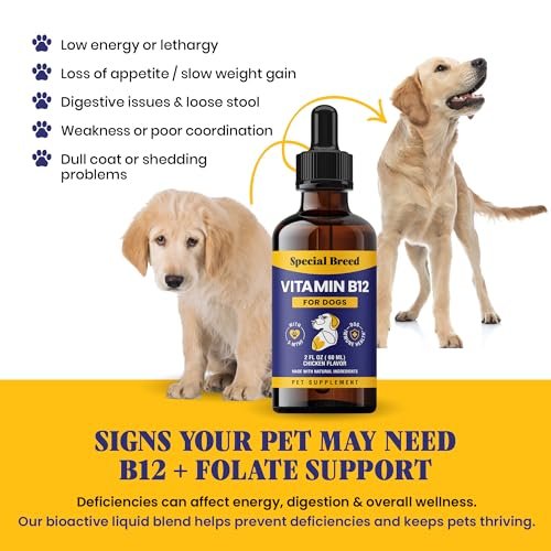 Special Breed Flüssiges Vitamin B12 für Hunde – Methylcobalamin und 5-MTHF – Steigert Energie, Appetit, Stimmung & Immunsystem – Einfach zu verwendender Tropfer – Hühnergeschmack, 60 ml