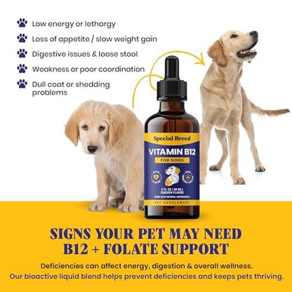 Special Breed Flüssiges Vitamin B12 für Hunde – Methylcobalamin und 5-MTHF – Steigert Energie, Appetit, Stimmung & Immunsystem – Einfach zu verwendender Tropfer – Hühnergeschmack, 60 ml