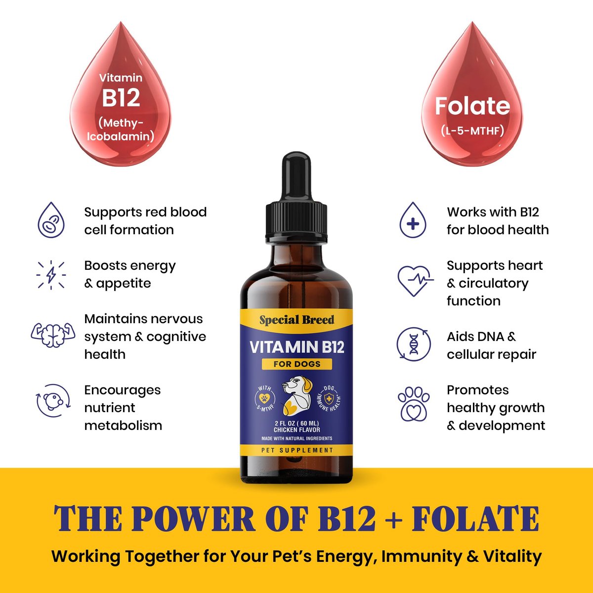 Special Breed Flüssiges Vitamin B12 für Hunde – Methylcobalamin und 5-MTHF – Steigert Energie, Appetit, Stimmung & Immunsystem – Einfach zu verwendender Tropfer – Hühnergeschmack, 60 ml