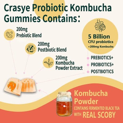 Crasye Probiotische Kombucha Gummibärchen – Zuckerfrei, Präbiotika, Postbiotika & Probiotika für Frauen und Männer – Unterstützt Verdauung, Immunsystem & Darmgesundheit – 60 Gummis (30 Portionen)