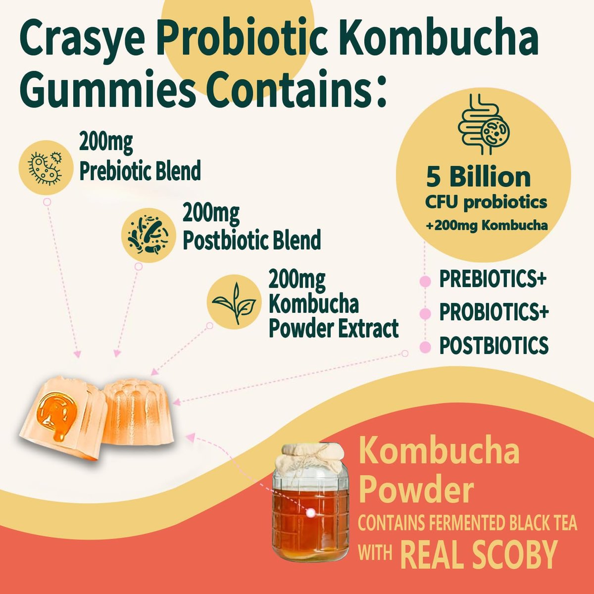 Crasye Probiotische Kombucha Gummibärchen – Zuckerfrei, Präbiotika, Postbiotika & Probiotika für Frauen und Männer – Unterstützt Verdauung, Immunsystem & Darmgesundheit – 60 Gummis (30 Portionen)