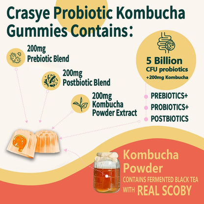 Crasye Probiotische Kombucha Gummibärchen – Zuckerfrei, Präbiotika, Postbiotika & Probiotika für Frauen und Männer – Unterstützt Verdauung, Immunsystem & Darmgesundheit – 60 Gummis (30 Portionen)