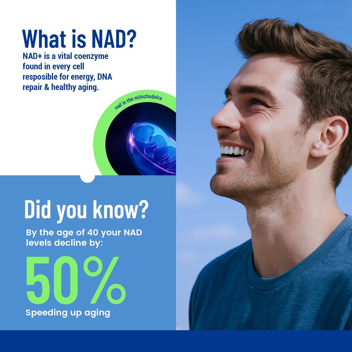 NAD+ Patches für Frauen & Männer mit Nicotinamid und Resveratrol – 30 Pflaster, Premium 8-Stunden-Formel mit verlängerter Wirkung, vegan