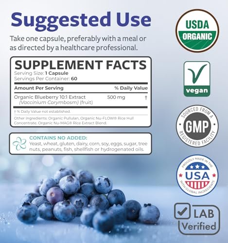 Bio Heidelbeerextrakt Kapseln - Hochdosiert 500 mg 10:1 Extrakt pro Kapsel - Vegan & Nicht-GVO - 2 Monate Vorrat