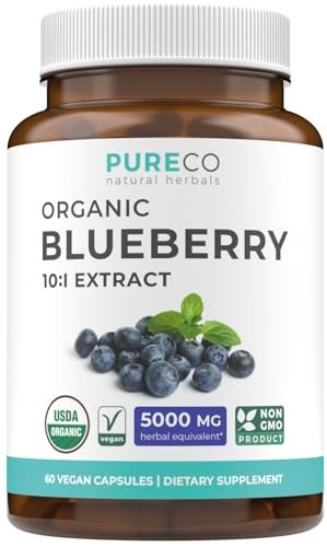 Bio Heidelbeerextrakt Kapseln - Hochdosiert 500 mg 10:1 Extrakt pro Kapsel - Vegan & Nicht-GVO - 2 Monate Vorrat