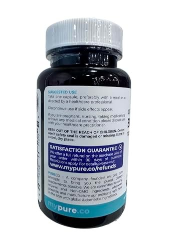 Bio Heidelbeerextrakt Kapseln - Hochdosiert 500 mg 10:1 Extrakt pro Kapsel - Vegan & Nicht-GVO - 2 Monate Vorrat