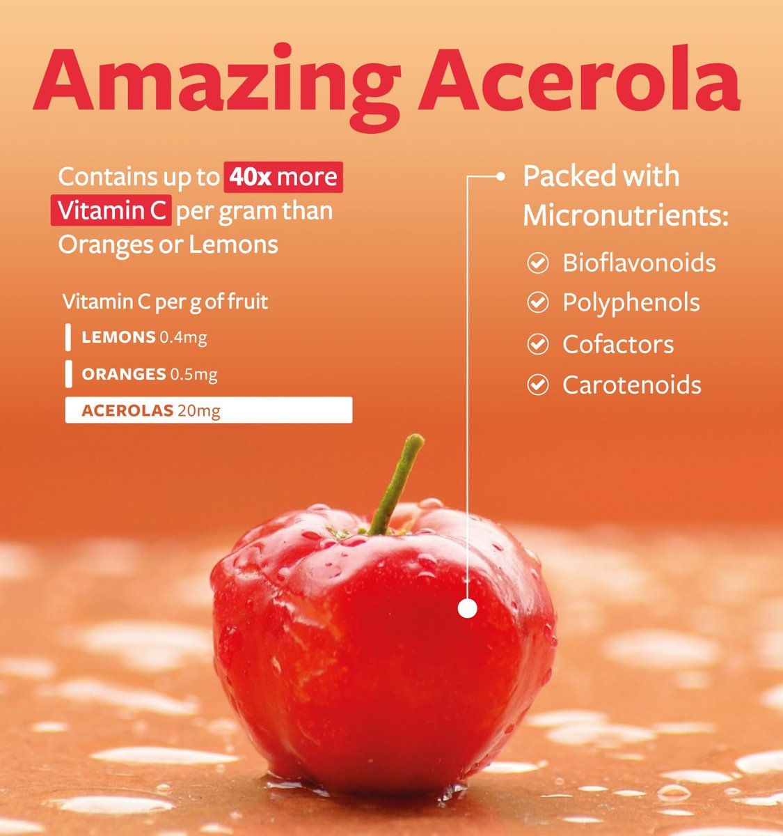 Bio Vitamin C Supplement – Acerola Vitamin C aus Vollwertkost für Immununterstützung und saisonales Wohlbefinden mit natürlichen Bioflavonoiden, Polyphenolen und Cofaktoren (1-Monats-Vorrat)