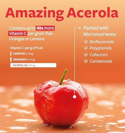 Bio Vitamin C Supplement – Acerola Vitamin C aus Vollwertkost für Immununterstützung und saisonales Wohlbefinden mit natürlichen Bioflavonoiden, Polyphenolen und Cofaktoren (1-Monats-Vorrat)