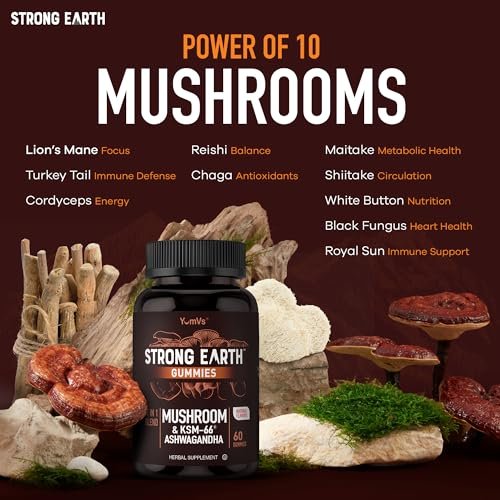 YUM-V'S Pilz-Gummis mit Ashwagandha – 350 mg 10-in-1 Pilzmischung – Löwenmähne, Cordyceps, Reishi, Chaga, Truthahnschwanz, Maitake, Shiitake – Gelatinefrei, vegetarisch – 60 Stück (2 pro Portion)