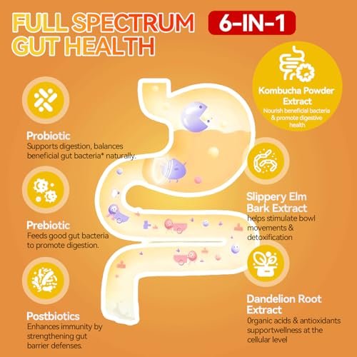Crasye Probiotische Kombucha Gummies Zuckerfrei Präbiotisch Postbiotisch Probiotika Gummies mit Ulmenrinde für Frauen und Männer Blähungen Darmgesundheit Immun- und Verdauungsunterstützung - 60 Gummis - 30 Portionen