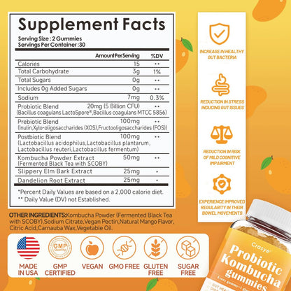 Crasye Probiotische Kombucha Gummies Zuckerfrei Präbiotisch Postbiotisch Probiotika Gummies mit Ulmenrinde für Frauen und Männer Blähungen Darmgesundheit Immun- und Verdauungsunterstützung - 60 Gummis - 30 Portionen