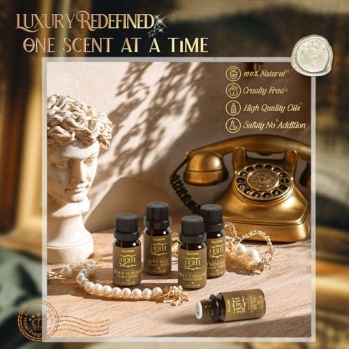 SALKING Hotel Diffuser Öl, Luxuriöses Hotel Duftöl Geschenkset, Premium Ätherisches Öl für Diffuser, inspiriert von den beliebtesten 5-Sterne-Düften, Weihnachtsgeschenke