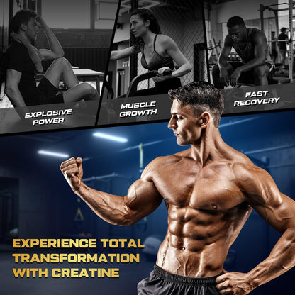 Creatine Gummis für Männer & Frauen, 5-in-1 Komplex mit Taurin, L-Carnitin, Vitamin B12 & B6 – Unterstützt Muskeln, Erholung, 5 g Creatin-Monohydrat Gummis für Pre- und Post-Workout, 120 Stück