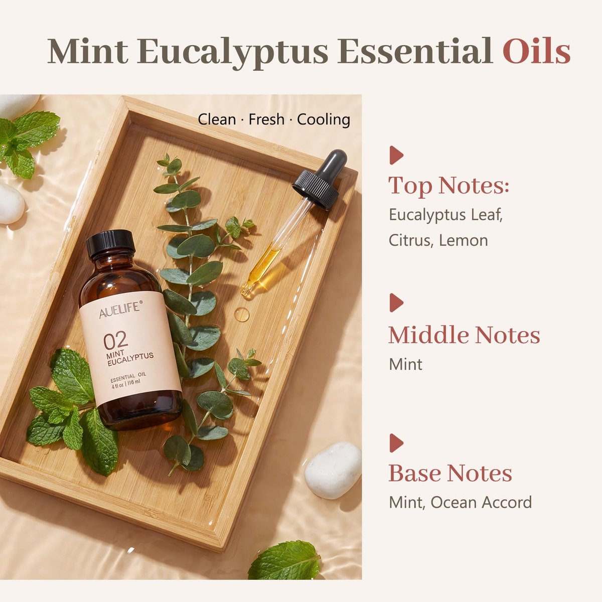 Mint & Eukalyptus Ätherisches Öl für Diffuser & Kerzenherstellung, 118 ml (4 fl oz) Große Flasche, Langanhaltender Frischer Duft für Raumduft, Seife, DIY & Aromatherapie