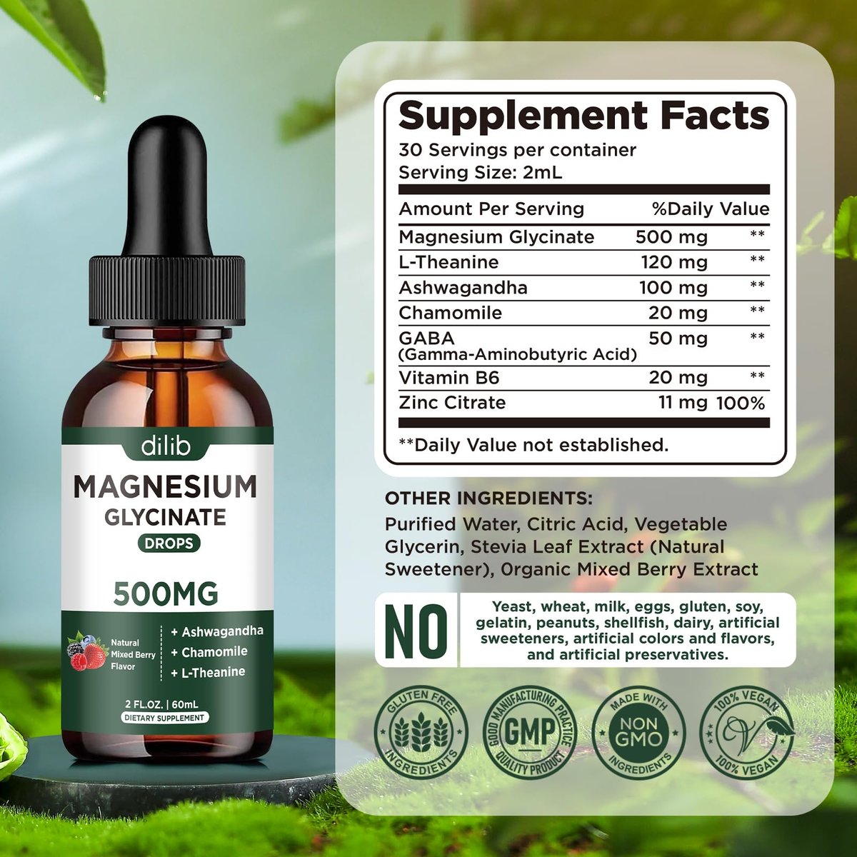 dilib Magnesium Glycinat Flüssig Drops – mit Ashwagandha, L-Theanin & Kamille für Stressabbau, Knochen & Muskeln – 500 mg pro Portion – 2 Fl Oz (Packung mit 1)