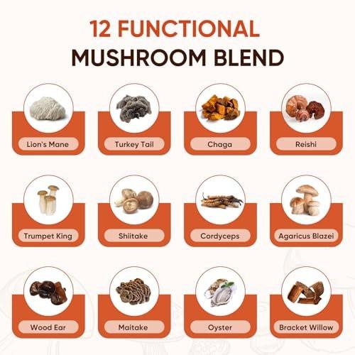 Itiban Pilzkaffee, 12 Pilze Mischung mit Ashwagandha, Löwenmähne, Chaga und Probiotika – Instant Pilz-Latte für Fokus, Darm- und Immun-Gesundheit, 30 Portionen