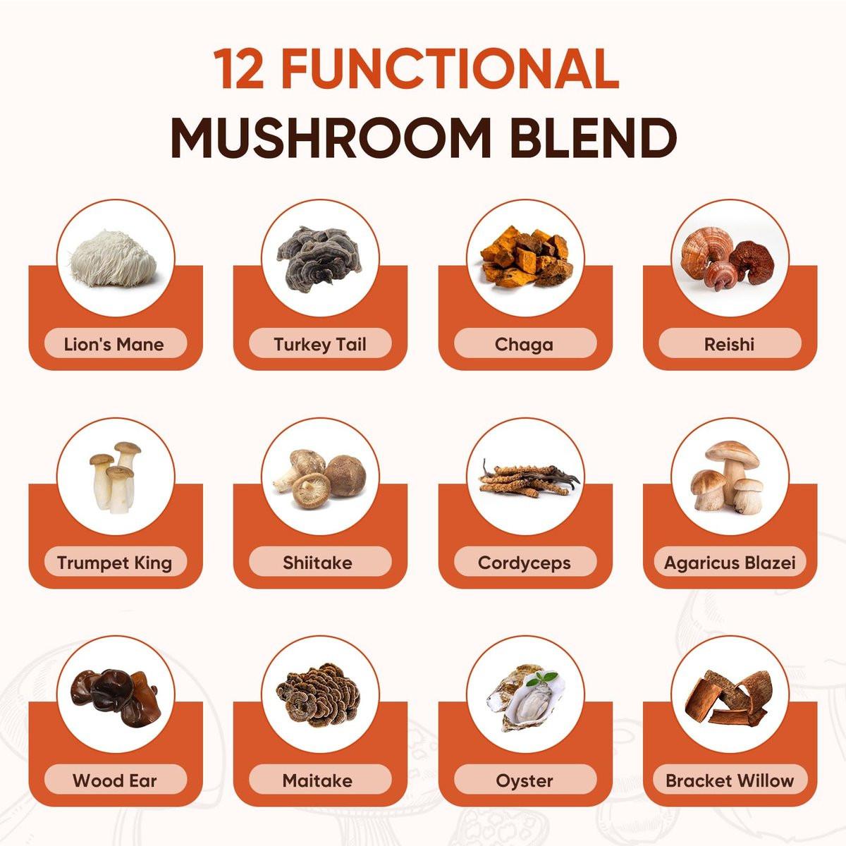 Itiban Pilzkaffee, 12 Pilze Mischung mit Ashwagandha, Löwenmähne, Chaga und Probiotika – Instant Pilz-Latte für Fokus, Darm- und Immun-Gesundheit, 30 Portionen