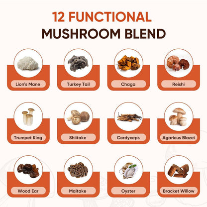 Itiban Pilzkaffee, 12 Pilze Mischung mit Ashwagandha, Löwenmähne, Chaga und Probiotika – Instant Pilz-Latte für Fokus, Darm- und Immun-Gesundheit, 30 Portionen