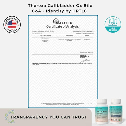 THEREXA Ox Galle Supplement für Ohne Gallenblase - 90 Kapseln, Verdauungsenzyme mit Gereinigten Gallensalzen