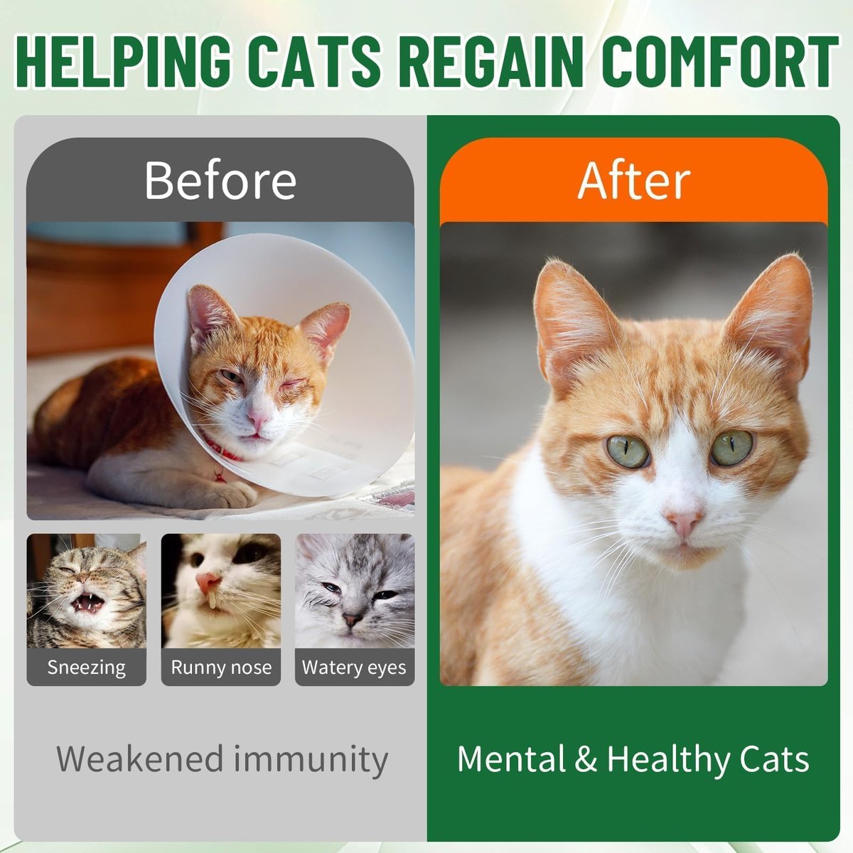 L-Lysin für Katzen – Katzen-Lysin-Ergänzung für Immununterstützung, Atemwege, Niesen, laufende Nase, Augenfunktion, natürliche Stärkung der Abwehrkräfte, Hühnergeschmack 60 ml