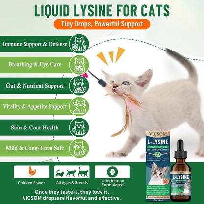 L-Lysin für Katzen – Katzen-Lysin-Ergänzung für Immununterstützung, Atemwege, Niesen, laufende Nase, Augenfunktion, natürliche Stärkung der Abwehrkräfte, Hühnergeschmack 60 ml