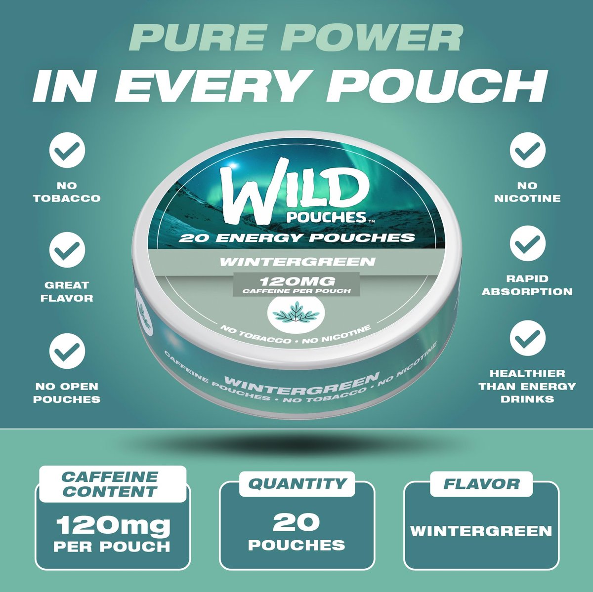 Wild 120mg Koffeinbeutel Nikotinfrei Wintergrün – 20 Energy Pouches – Koffeinbeutel