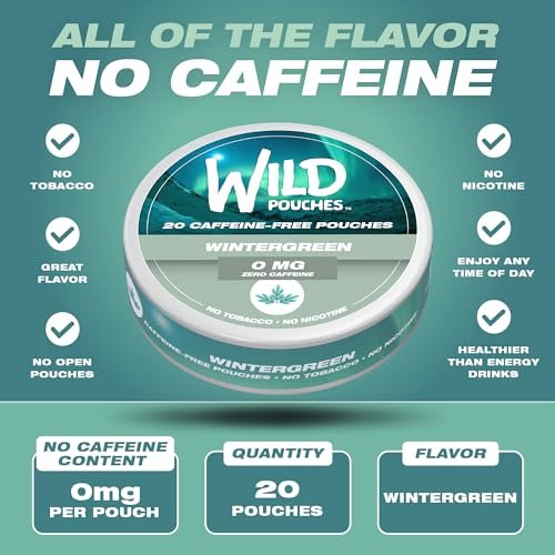 Wild Wintergeen Nikotinfreie Beutel ohne Koffein – 20 koffeinfreie Beutel