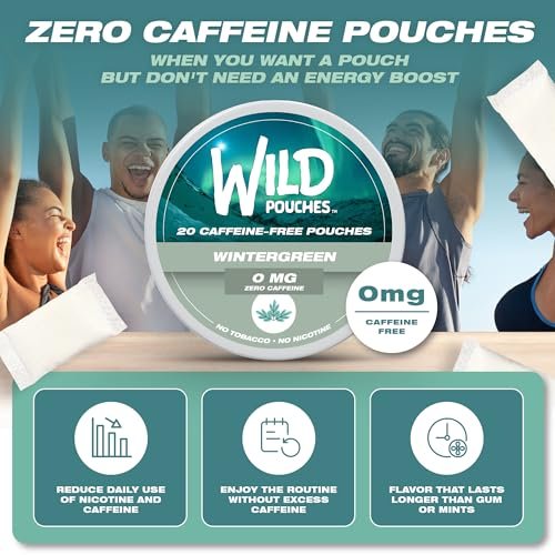 Wild Wintergeen Nikotinfreie Beutel ohne Koffein – 20 koffeinfreie Beutel