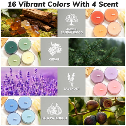 Farbige Duft-Teelichter, 16er Pack Sojawachs-Teelichter in 4 Düften für Wohnkultur, Entspannung & Geschenke | Langlebig | Zeder, Amber Sandelholz, Lavendel, Feige & Patchouli