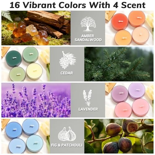 Farbige Duft-Teelichter, 16er Pack Sojawachs-Teelichter in 4 Düften für Wohnkultur, Entspannung & Geschenke | Langlebig | Zeder, Amber Sandelholz, Lavendel, Feige & Patchouli