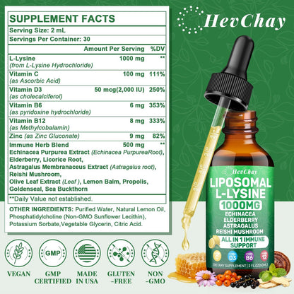 Liposomales Lysin 1000 mg flüssige Tropfen, 16-in-1 L-Lysin Nahrungsergänzungsmittel für Kinder und Erwachsene, Echinacea & Holunderbeere mit Vitamin C, B6, D3, B12 & Zink für Kollagen, Lippen-, Haut- und Immununterstützung, 1 Packung
